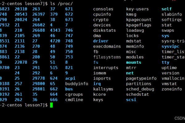 如何利用 Linux 的 /proc 文件系统监控和管理进程？  第1张