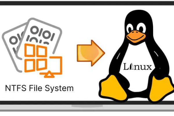 如何在Linux系统下有效使用NTFS文件系统？  第1张