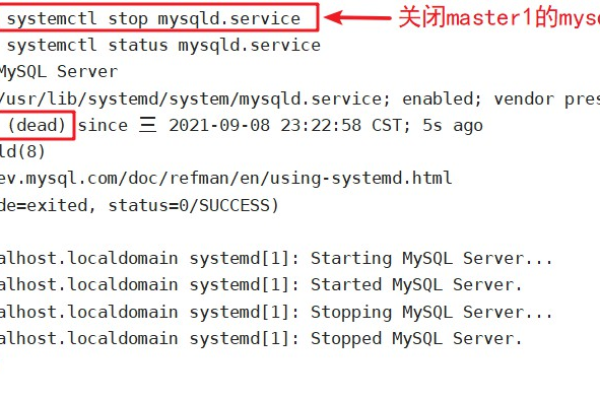 如何在MySQL中创建数据库并设置编码集？