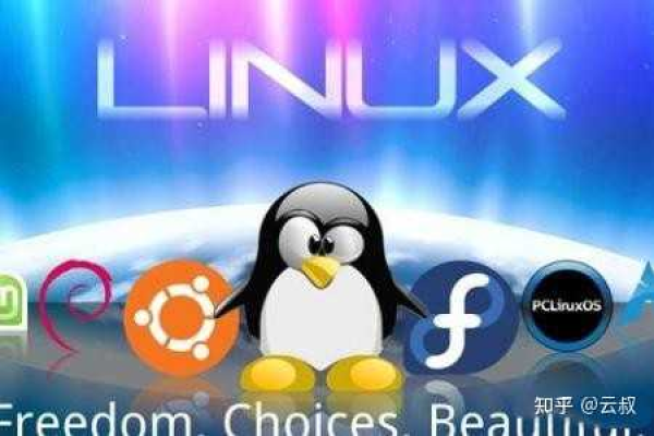 如何在Linux平台上开发和安装驱动程序？