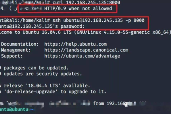 如何在 Linux 系统中实现端口复用？  第1张