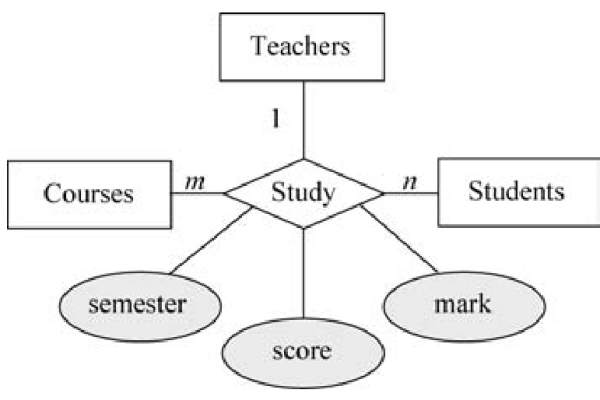 如何查看MySQL数据库中的实体关系图？