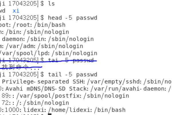 如何在Linux中使用.so文件？