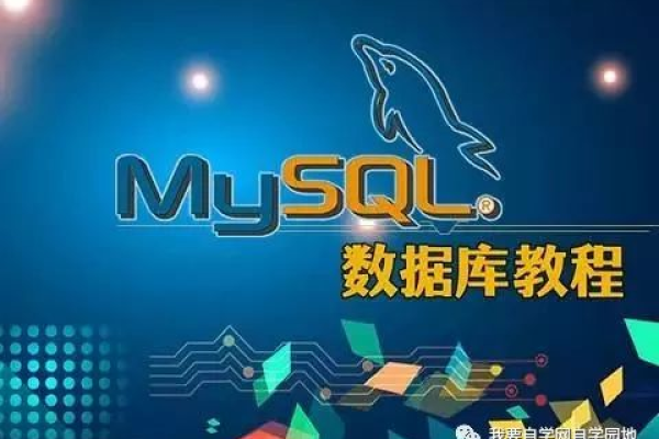 如何通过MySQL数据库实训提升技能，心得与方案解析？