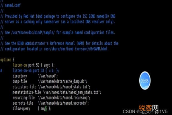 Linux下有哪些常用的DNS软件？  第1张