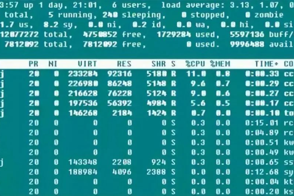 如何在Linux系统中准确统计文件数量？