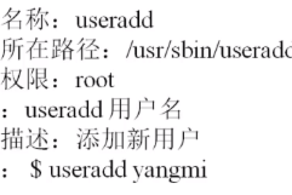 如何有效使用Linux命令行处理.txt文件？