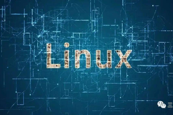 Linux 分五，这篇文章究竟探讨了哪五个方面？