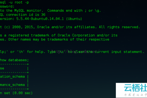 如何在CentOS Linux系统上安装和配置MySQL数据库？  第1张