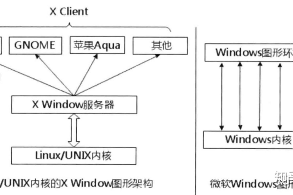 Linux 中 -x 参数的作用是什么？  第1张