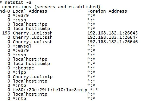 如何使用Linux命令netstat来监控网络连接？  第1张