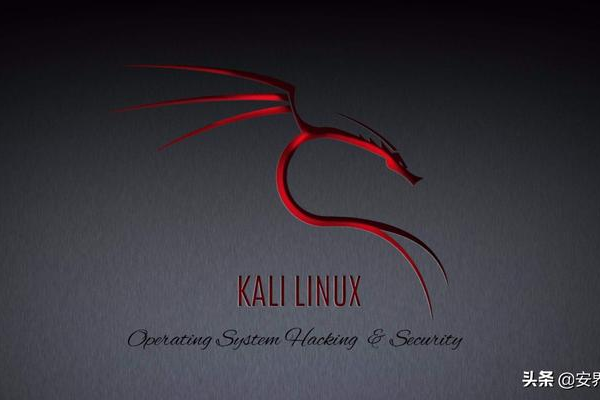 Kali Linux 2016.1版本有哪些独特功能和用途？  第1张