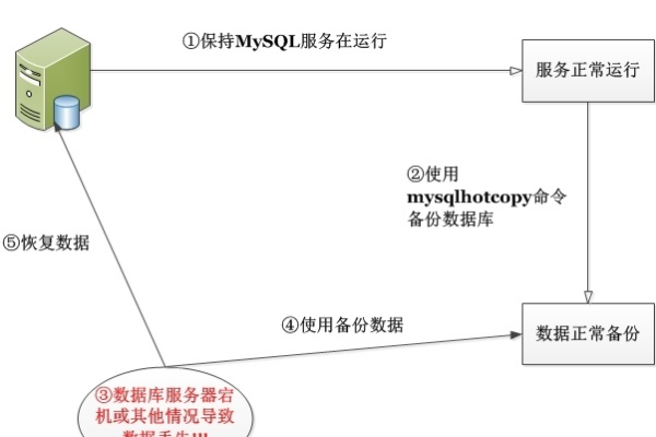 如何在MySQL中高效地拷贝和恢复数据库文件？