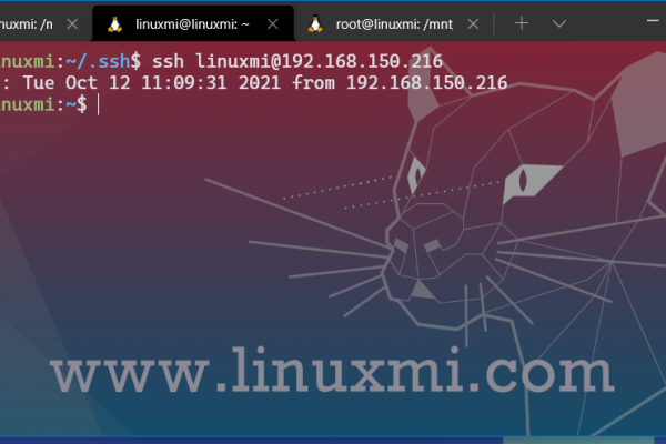如何在Linux Shell中使用SSH进行远程连接？  第1张