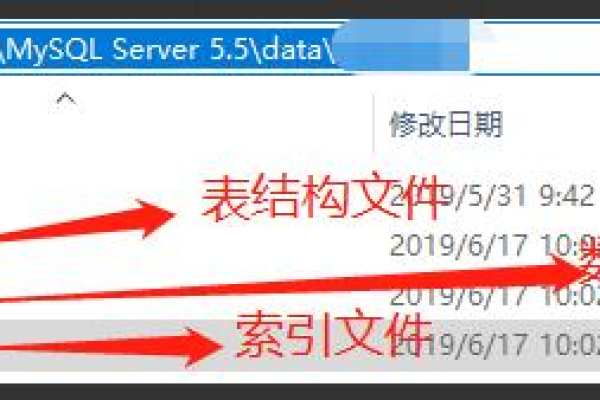 MySQL数据库文件通常存放在哪个目录中？如何检查该目录是否存在？  第1张