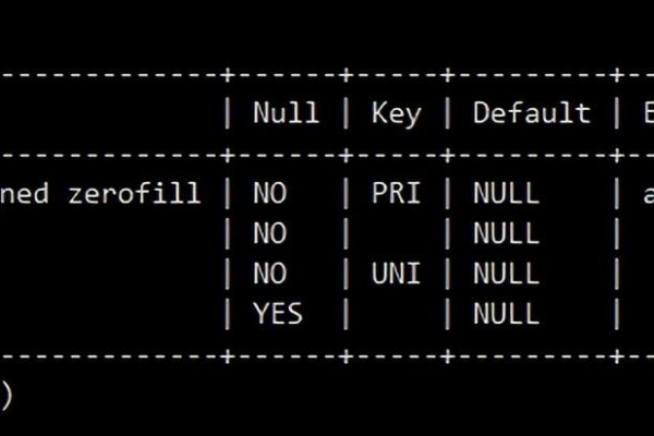 mysql数据库的基本用法有哪些关键要点？