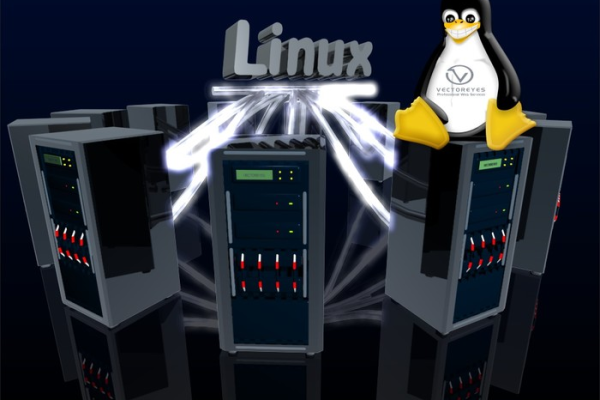 如何在Linux系统中高效地传递文件？