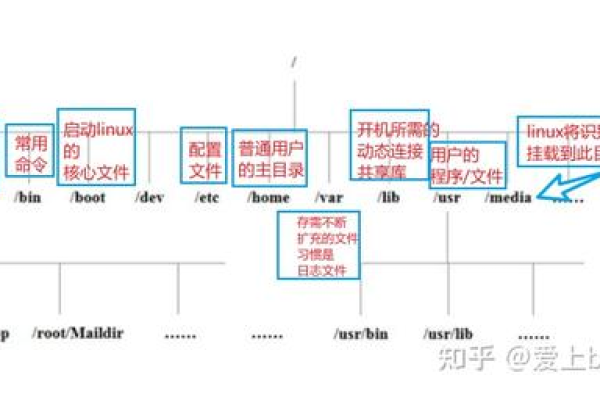 如何全面了解并优化Linux系统的网络状况？