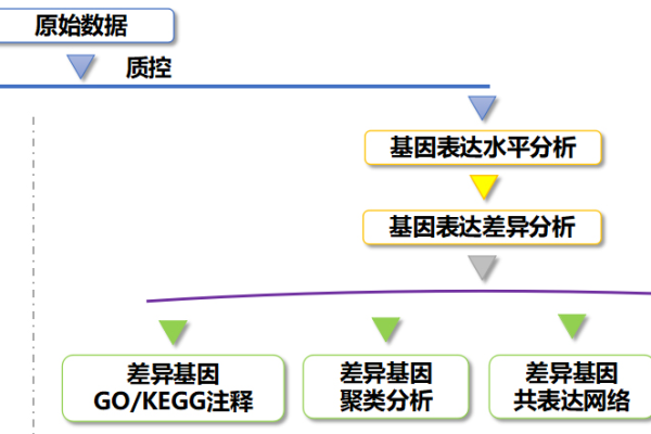 如何利用MVC架构和GCS构建高效的基因测序平台？