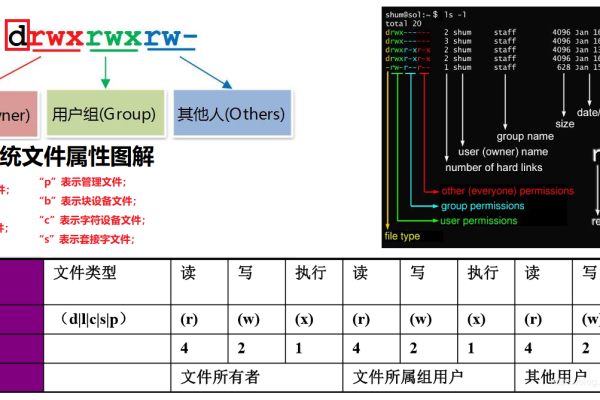 Linux系统中的755权限设置有何作用与意义？  第1张