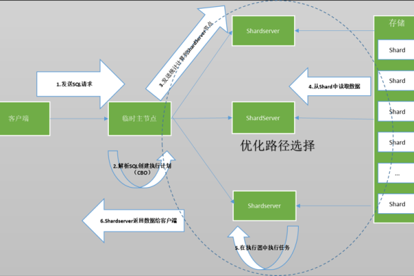 模块路径，如何正确设置和优化？