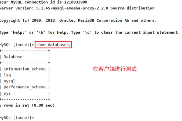 如何将MySQL数据库设置为只读模式以启用附加功能？