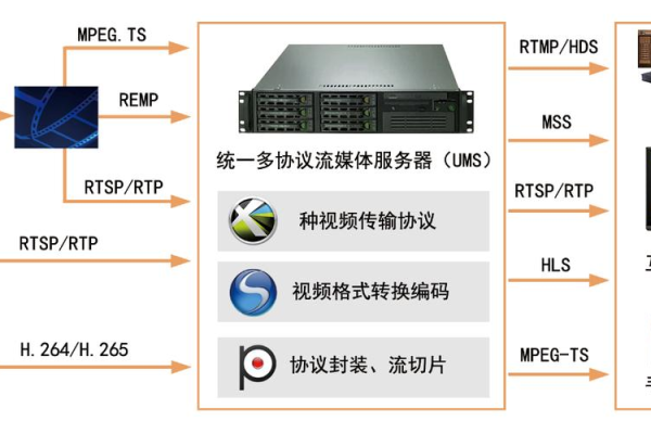 视频中揭示了服务器的哪些关键作用？  第1张