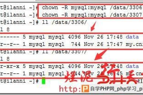 如何在MySQL中创建一个带有指定实例名称的数据库？