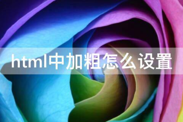 HTML中如何表示加粗效果？  第1张