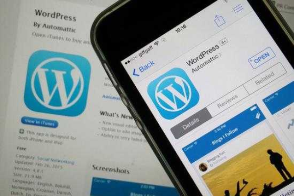 WordPress 3.4发布后，未来发展将如何展开？  第1张