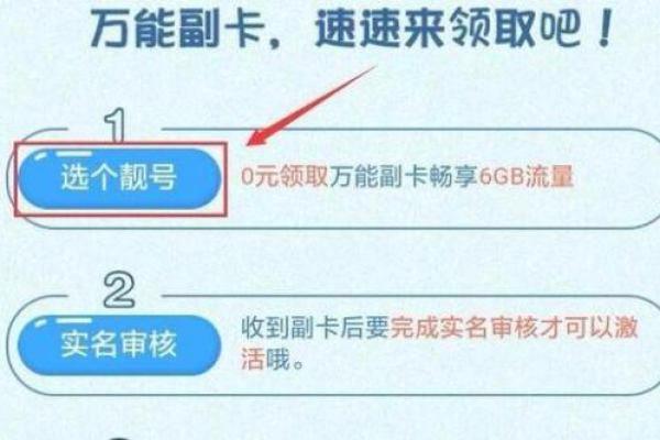 如何操作才能关闭主卡下的副卡流量使用？