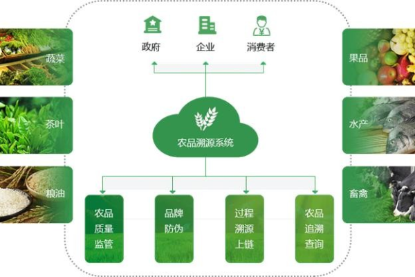 如何确保农产品网站的可信溯源策划成功？  第1张