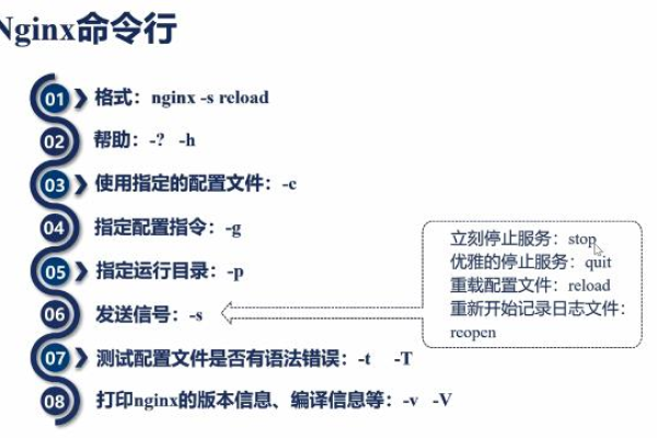 如何在内网环境中为代理服务器安装与配置Nginx？  第1张