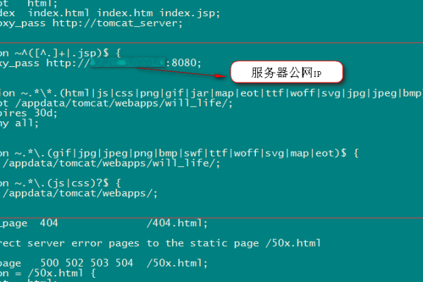 如何在Nginx中配置Java服务器？  第1张