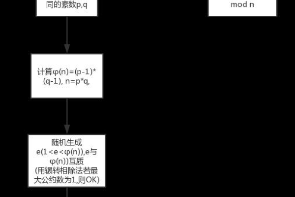 RSA算法的C语言实现，源码解析与应用指南