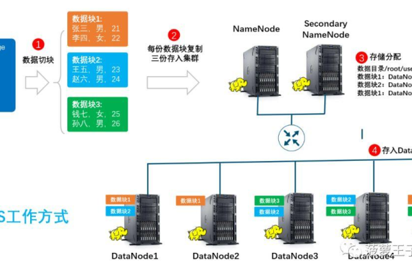 如何利用npx命令在HDFS环境中高效管理文件系统？  第1张