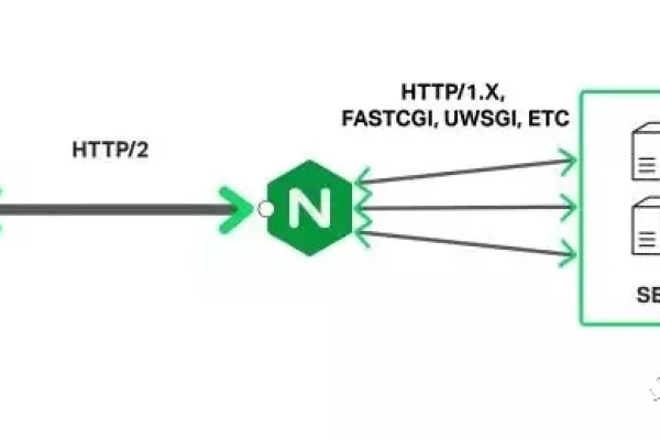 如何在Mac上配置nginx.conf以优化Nginx服务器性能？