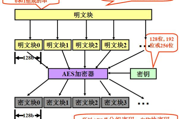 AES算法的源码究竟隐藏了哪些密码学的秘密？