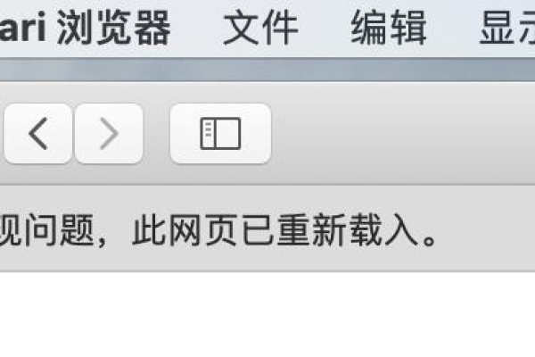 为什么Safari浏览器无法打开网页并显示服务器停止响应？  第1张