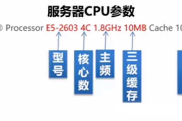 服务器是否拥有CPU？