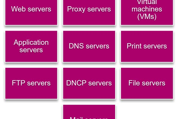 What Components Make Up a Server?  第1张