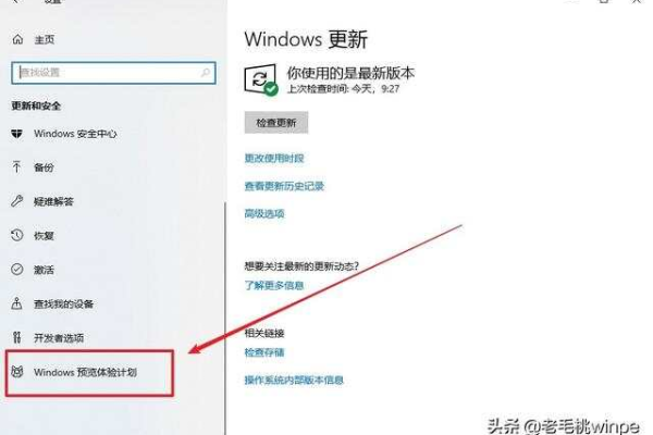 如何找到并打开Windows官网入口？