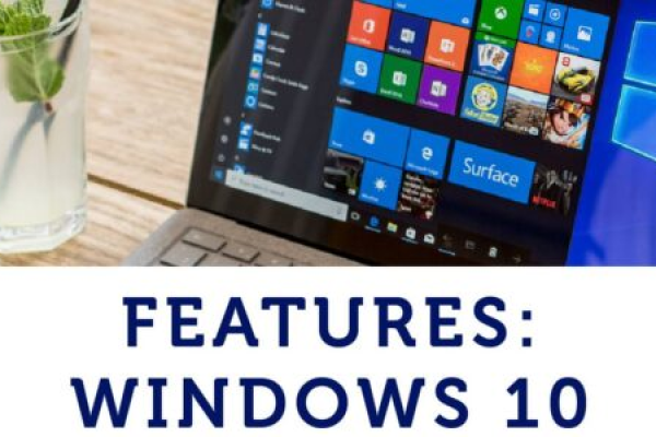 Windows Pro 是什么版本？它与 Windows 10 Pro 和 Home 有何不同？