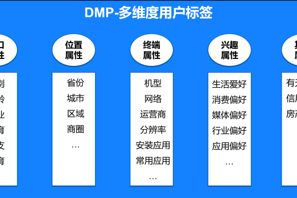 如何有效利用DMP自定义人群以降低转化成本？