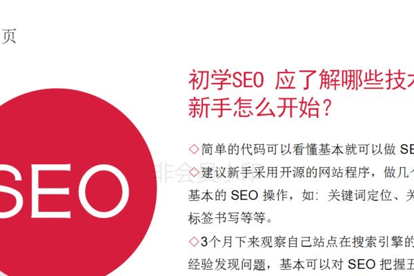 对于新手SEO学习，白杨SEO推荐了哪些书籍及其心得体会？