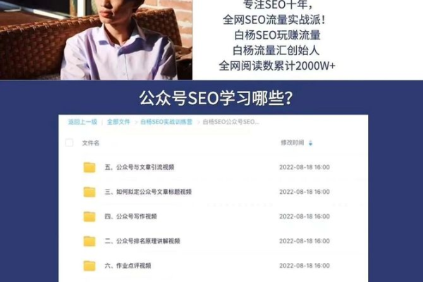 白杨SEO，掌握SEO技能究竟有何益处？为何内容如此浅显易懂？