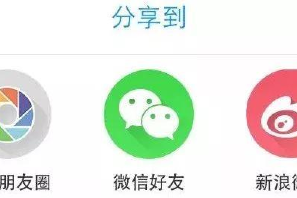 微信中有哪些东西是共享的？