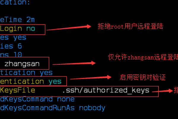 SSH源码在系统安全中扮演什么角色？