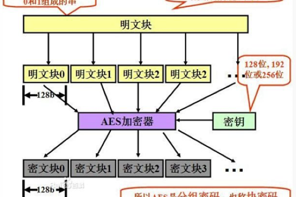 深入理解AES加密算法，源码中隐藏了哪些安全秘密？  第1张