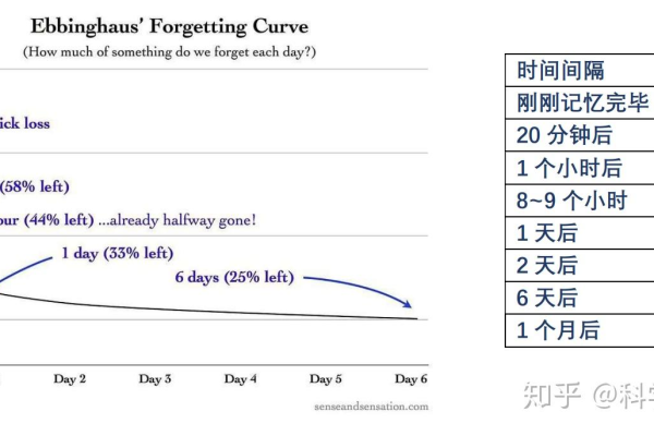 如何有效利用源码提高英语单词记忆效率？